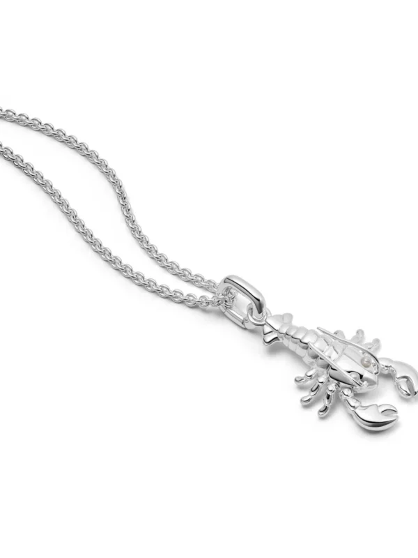 Daisy London Lobster Chain Necklace Sterling Silver