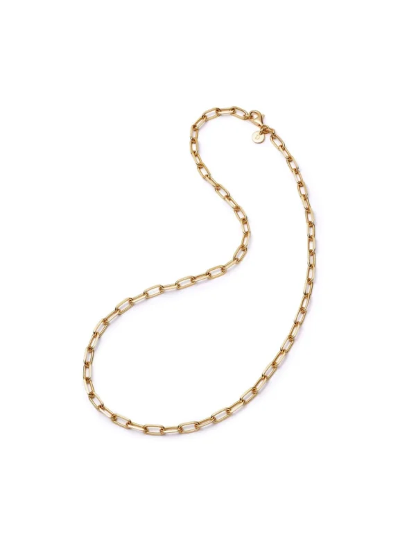 Daisy London Shrimps Chunky Chain Necklace 18ct Gold Plate