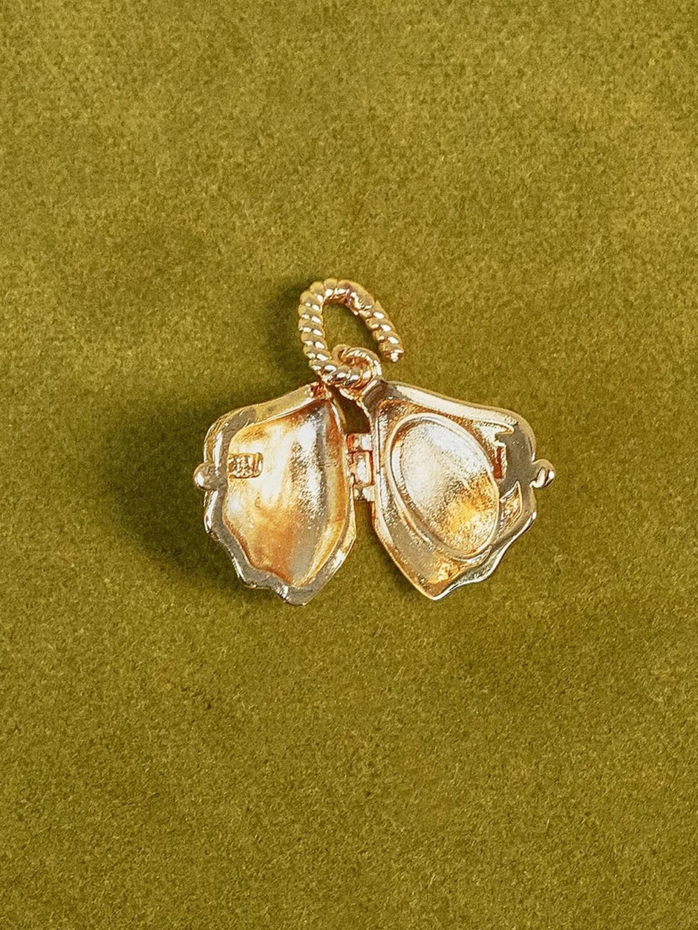 Daisy London Shrimps Shell Locket Charm Necklace 18ct Gold Plate, view 3