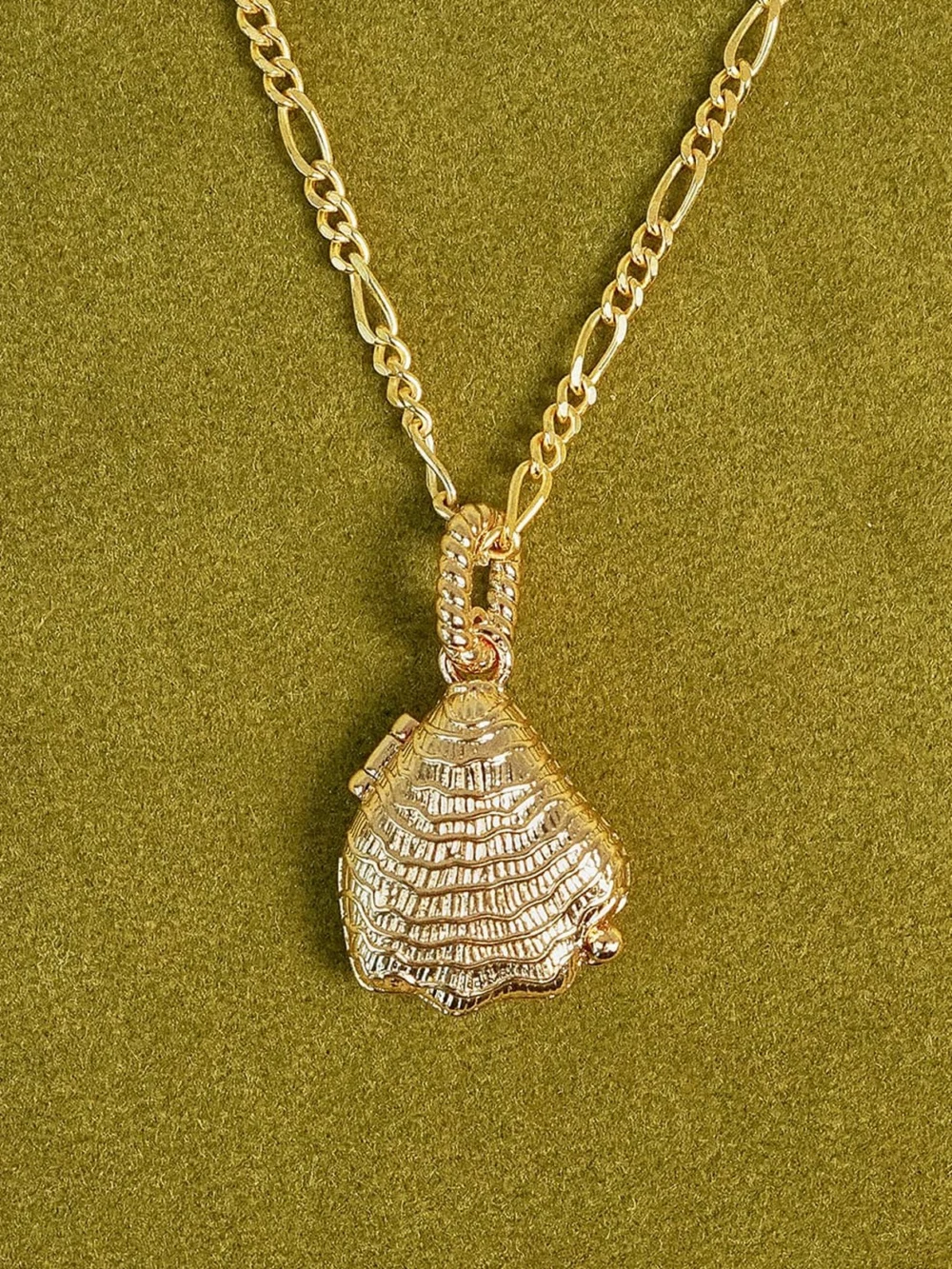 Daisy London Shrimps Shell Locket Charm Necklace 18ct Gold Plate, view 5