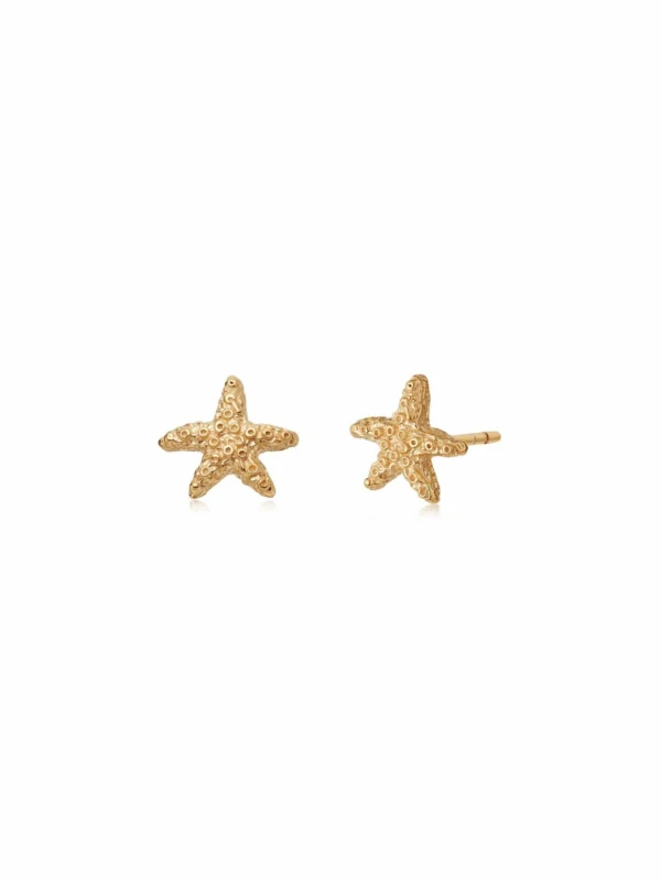 Daisy London Starfish Stud Earrings 18ct Gold Plate