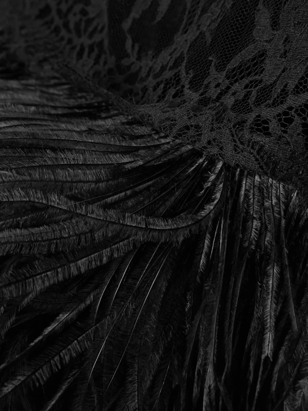 Close-up detail of the Dolce & Gabbana Feather-trimmed Cotton-blend Lace Halterneck Dress
