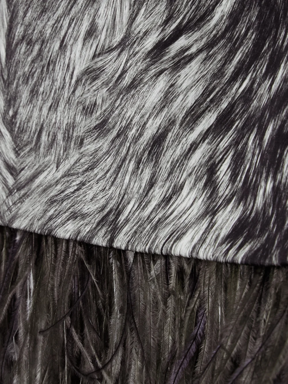 Close-up detail of the Dolce & Gabbana Feather-trimmed Printed Stretch-silk Charmeuse Skirt
