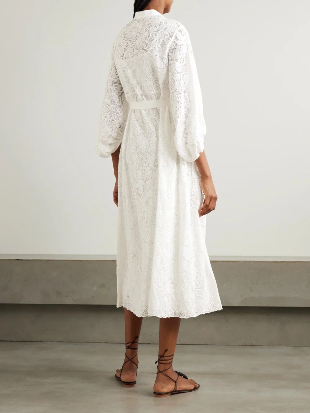 Back view of the Erdem Belted Poplin-paneled Cotton-lace Midi Shirt Dress
