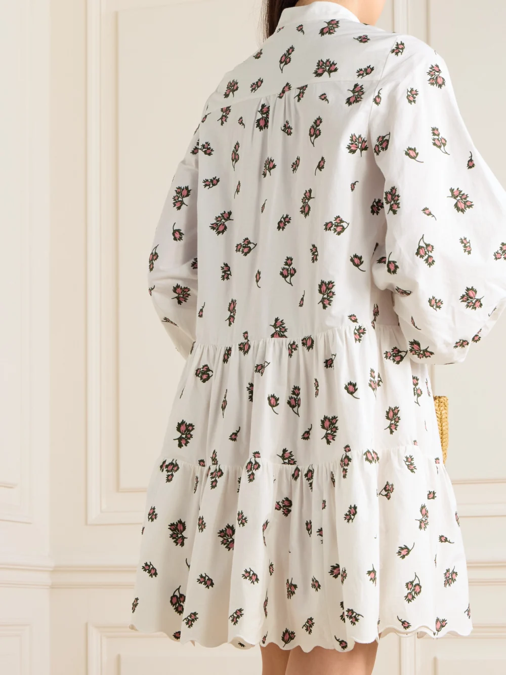 Back view of the Erdem Embroidered Cotton-blend Mini Dress
