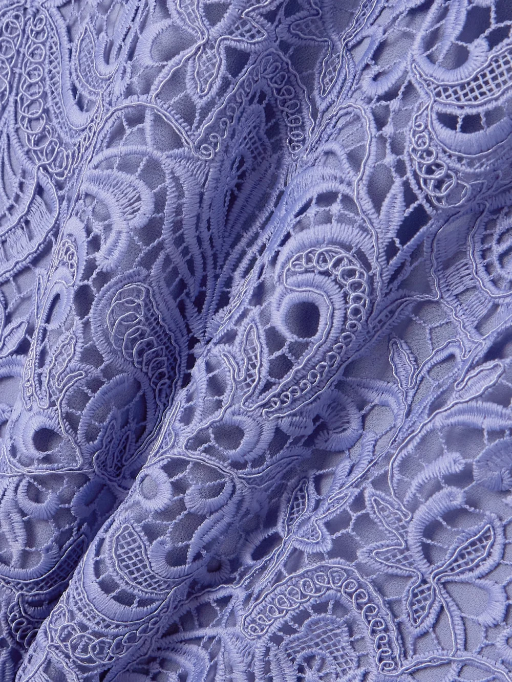 Close-up detail of the Etro Scalloped Guipure Lace Midi Dress