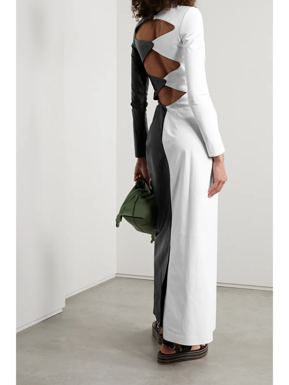 Back view of the Gabriela Hearst Currie Cutout Two-tone Leather Maxi Dress
