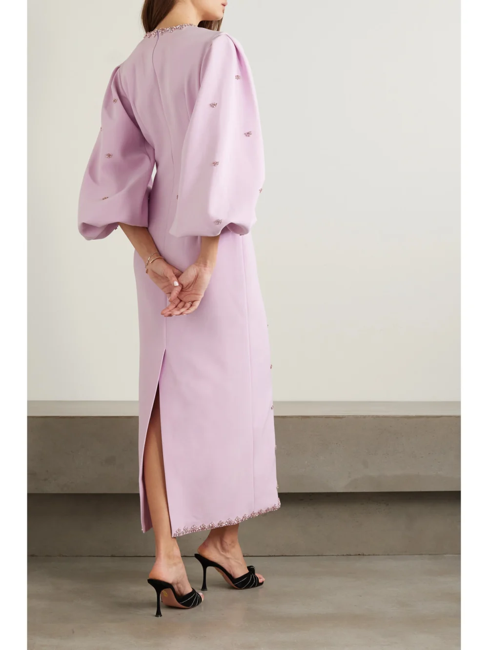 Back view of the Huishan Zhang Joelle Crystal-embellished Recycled-crepe Maxi Dress