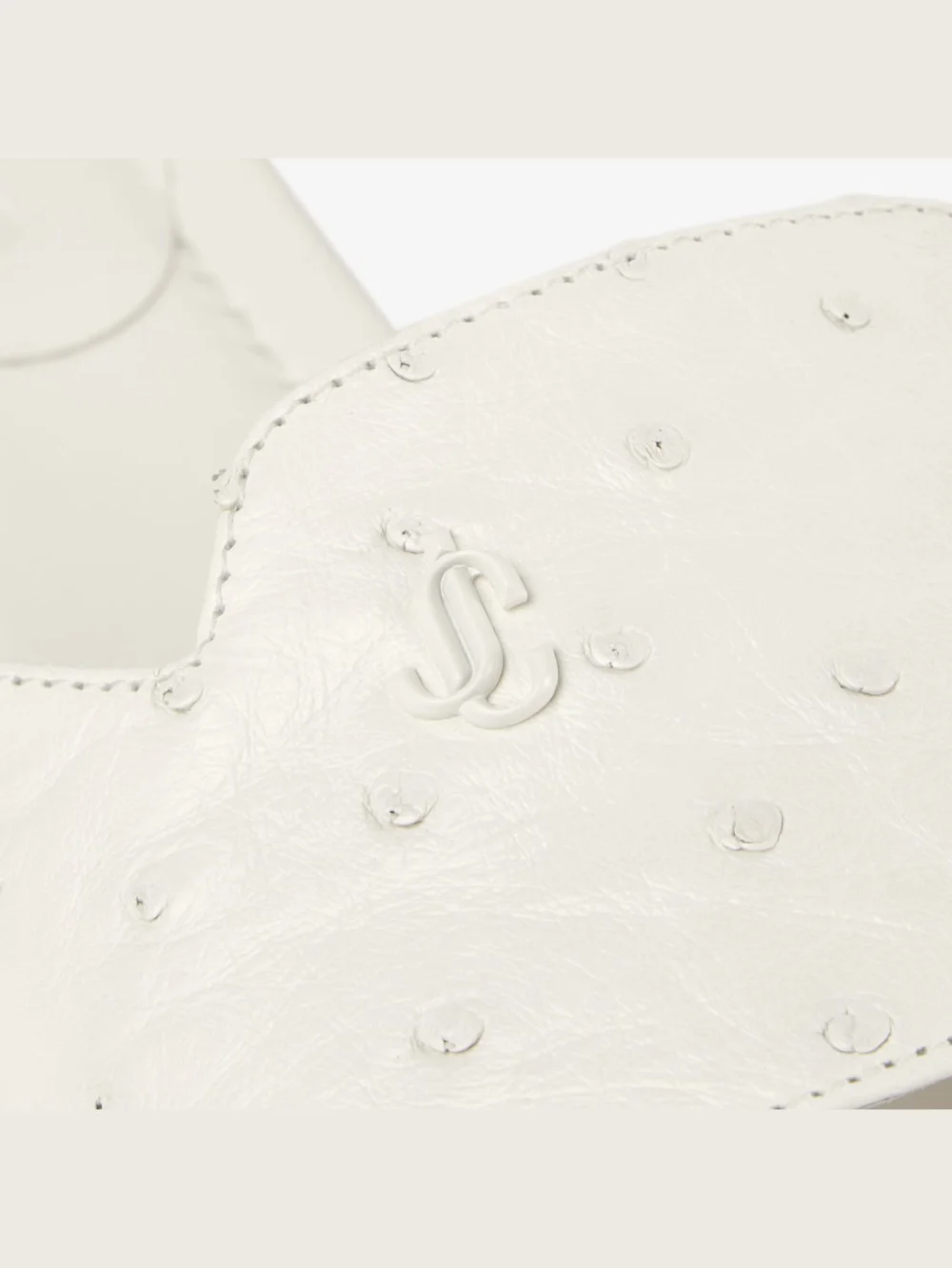 Back view of the Jimmy Choo Dina Flat Latte Ostrich Leather Flats