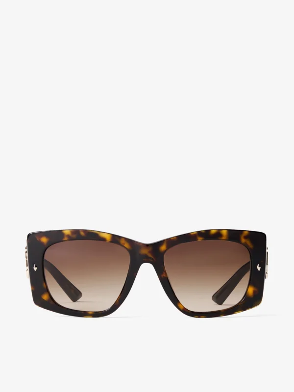 Jimmy Choo Gabi Havana and Gradient Brown Acetate Butterfly Sunglasses