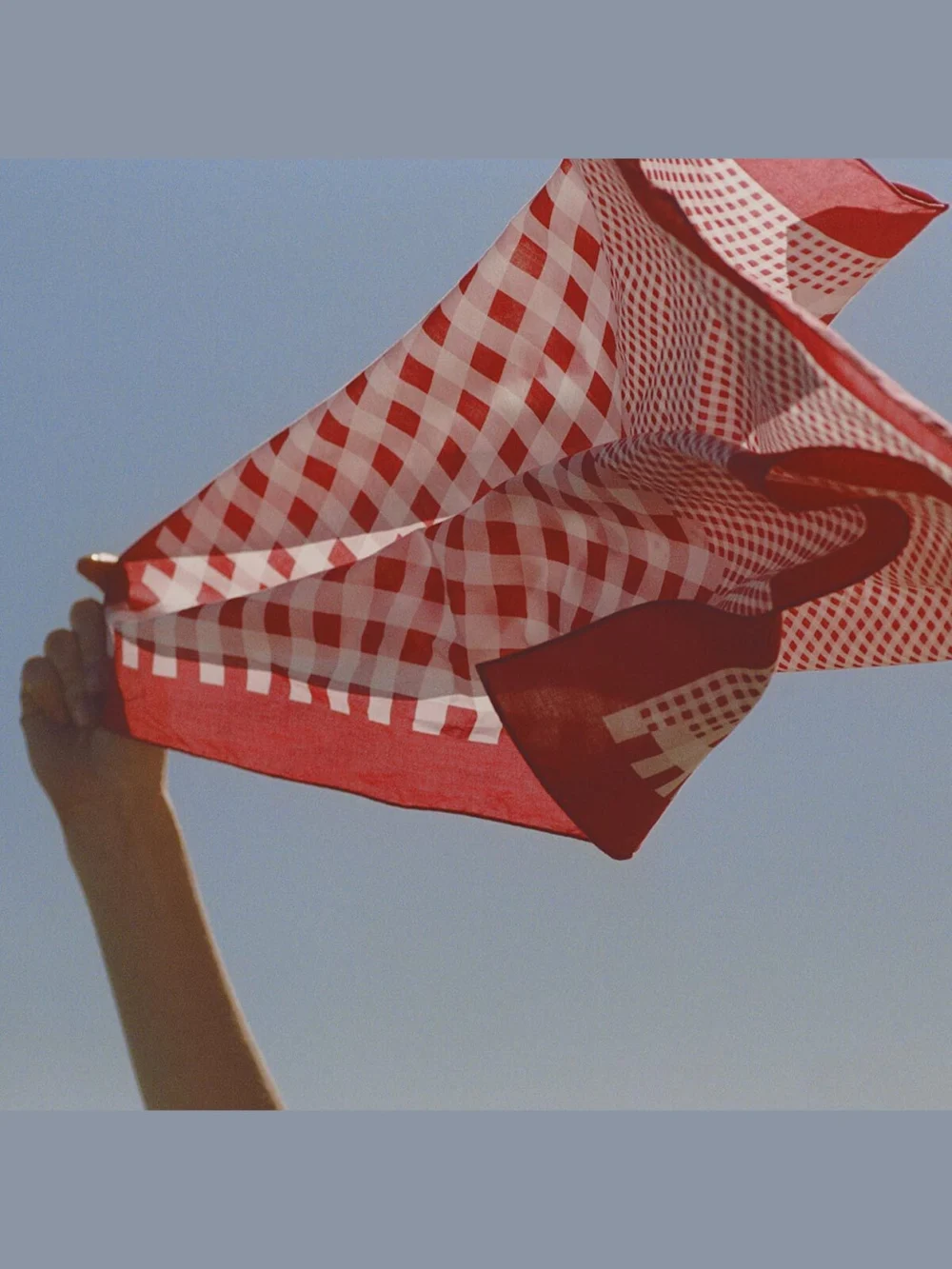 Back view of the Jimmy Choo Sula Bandana Ruby Red Mix Gingham Print Cotton Bandana