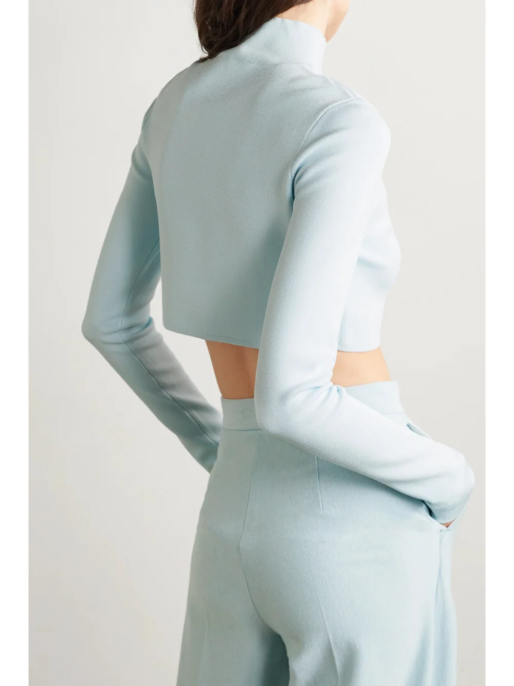 Back view of the Lapointe Cropped Stretch-knit Top