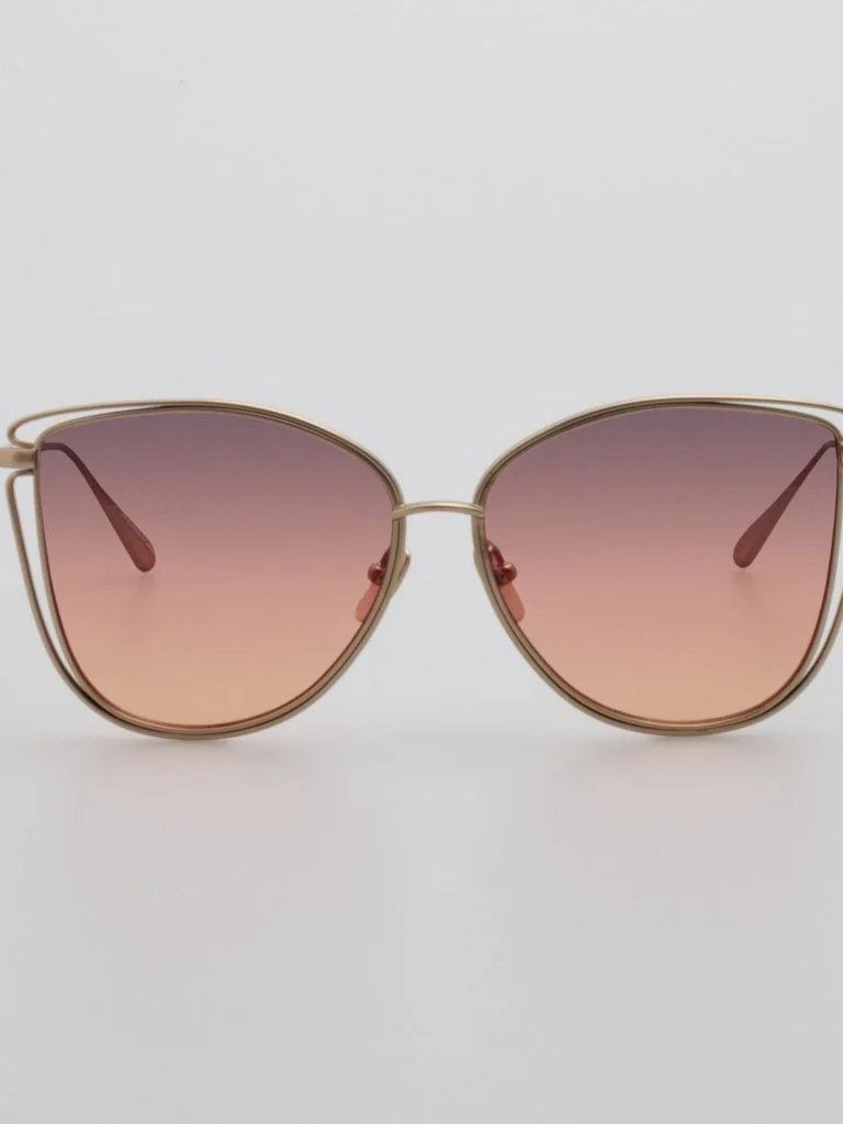 Linda Farrow Dinah Sunglasses in Champagne and Sunset Gradient