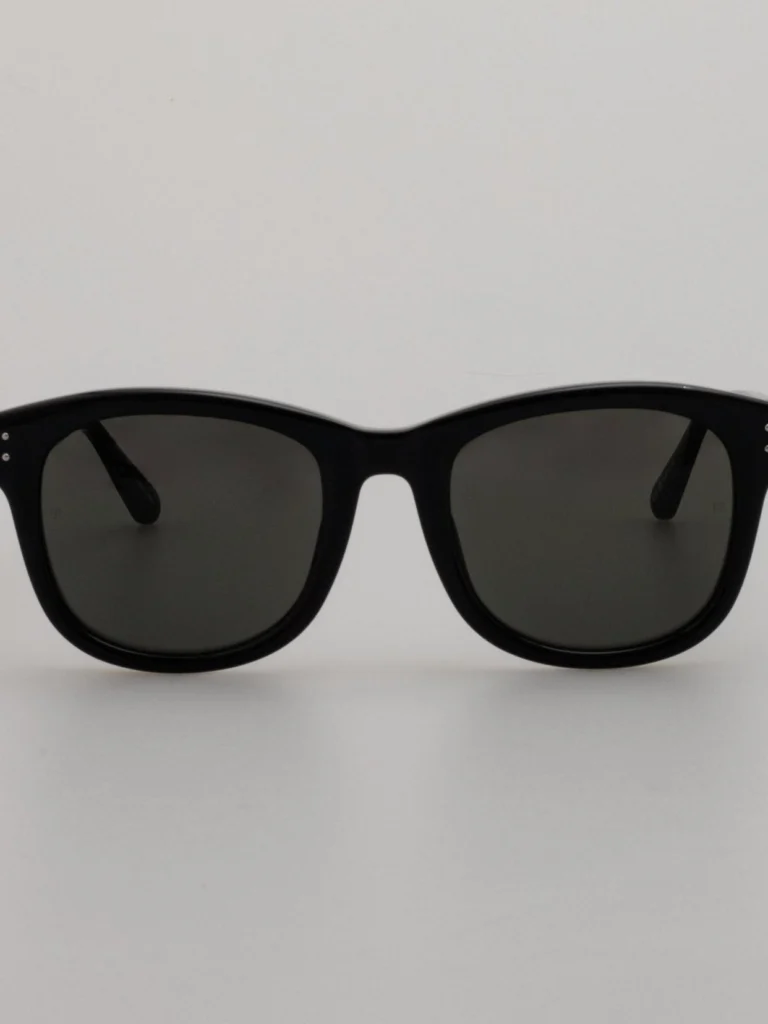 Linda Farrow Edson Sunglasses in Black and Nickel