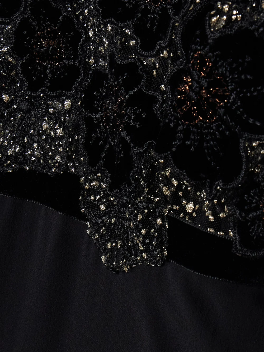 Close-up detail of the Loretta Caponi Pansy Velvet-trimmed Silk-georgette and Metallic Lace Maxi Dress