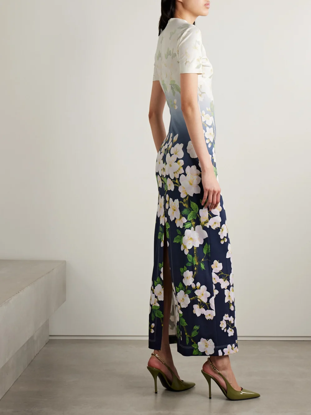 Back view of the Oscar de la Renta Floral-print Ombré Jersey Maxi Dress
