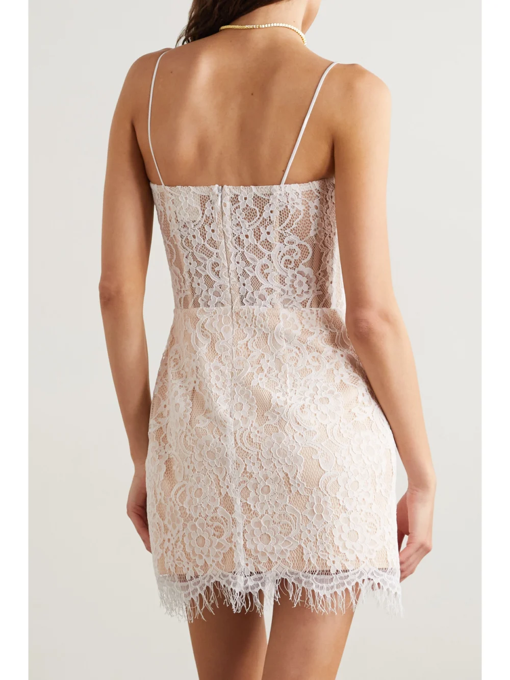 Back view of the Rasario Fringed Lace Mini Dress