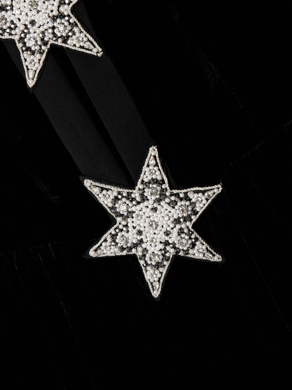 Close-up detail of the Saloni Camille Embellished Velvet Gown