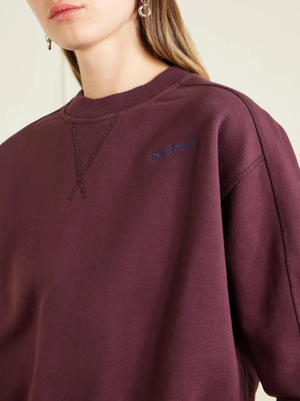 Close-up detail of the Sanderlak Cropped Embroidered Wool-blend Jersey Sweatshirt