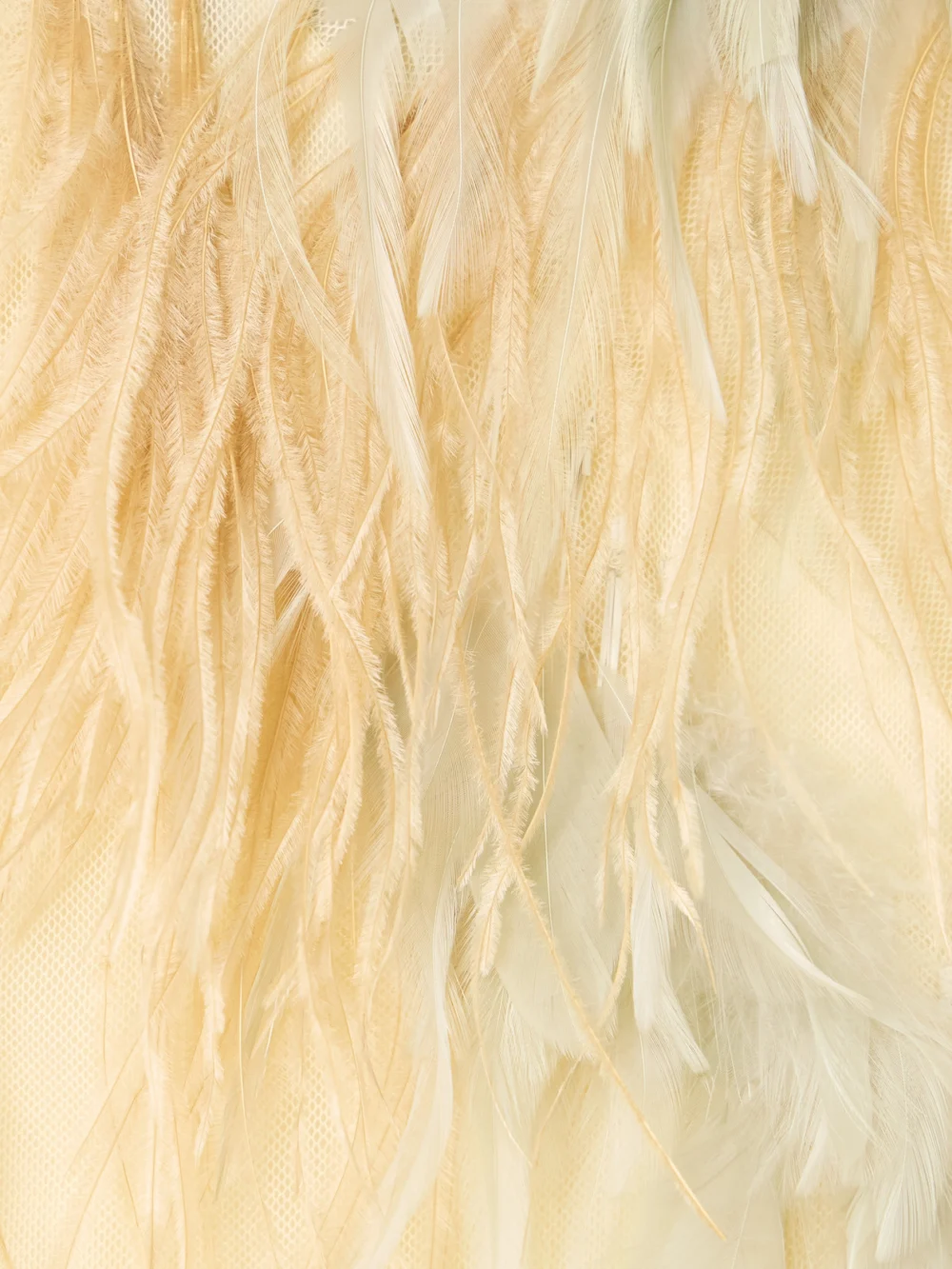 Close-up detail of the Sharon Wauchob Feather-trimmed Tulle and Satin Camisole