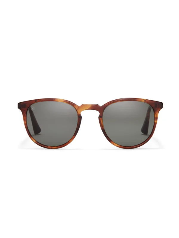Taylor Morris George Arthur Sunglasses in Brown Tort / Brown