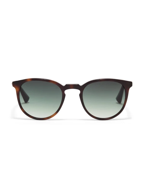 Taylor Morris George Arthur Sunglasses in Brown Tort / Green Gradient