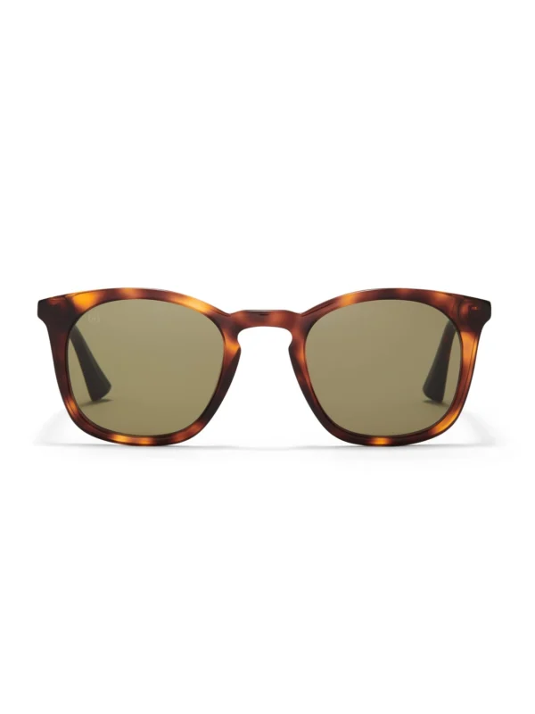 Taylor Morris Louis Orson Sunglasses in Brown Tortoiseshell