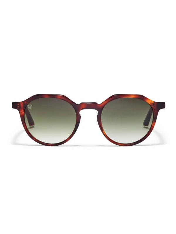 Taylor Morris Oxford Sunglasses in Brown Tortoiseshell