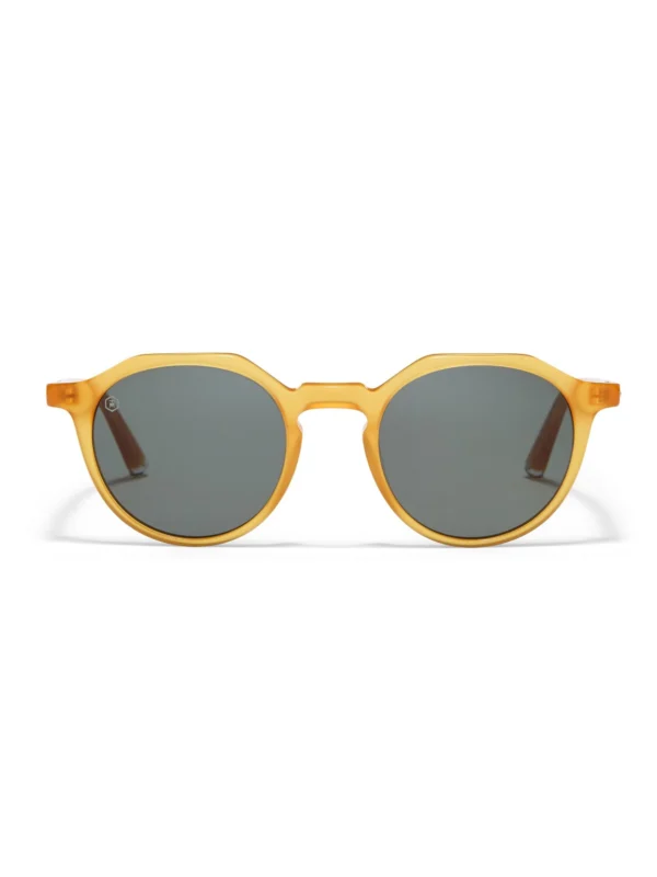 Taylor Morris Oxford Sunglasses in Honey / Green