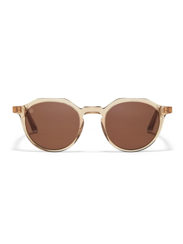 Taylor Morris Oxford Sunglasses in Tobacco / Brown
