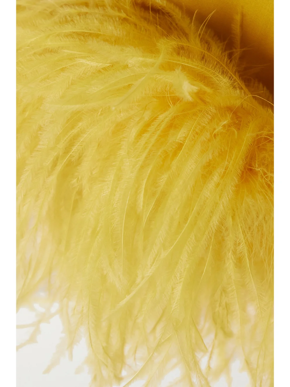 Close-up detail of the Valentino Garavani Feather-trimmed Cotton-blend Mini Dress