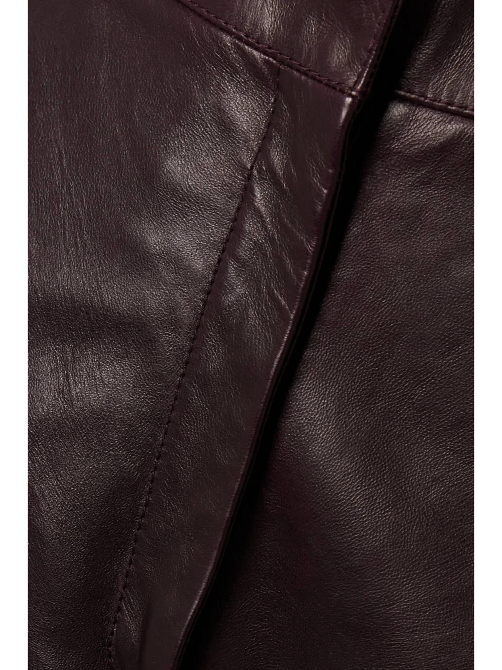 Close-up detail of the Veronica de Piante Audrey Paneled Leather Wide-leg Pants