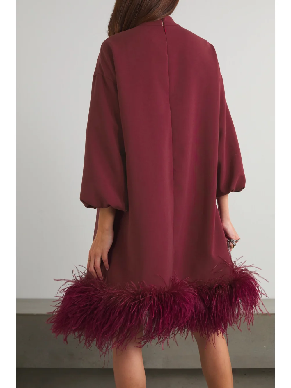 Back view of the Huishan Zhang Meiling Feather-trimmed Crystal-embellished Recycled-crepe Mini Dress