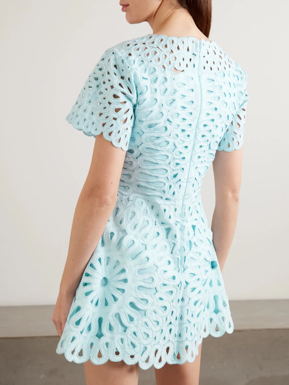 Back view of the Simkhai Emrys Broderie Anglaise Cotton-blend Mini Dress