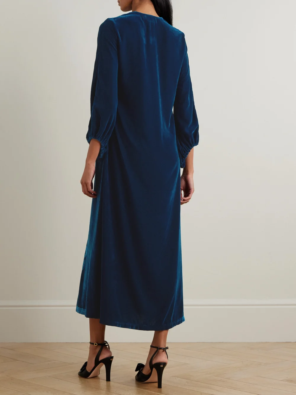 Back view of the Themis Z Anthos Devoré Silk-blend Velvet Maxi Dress