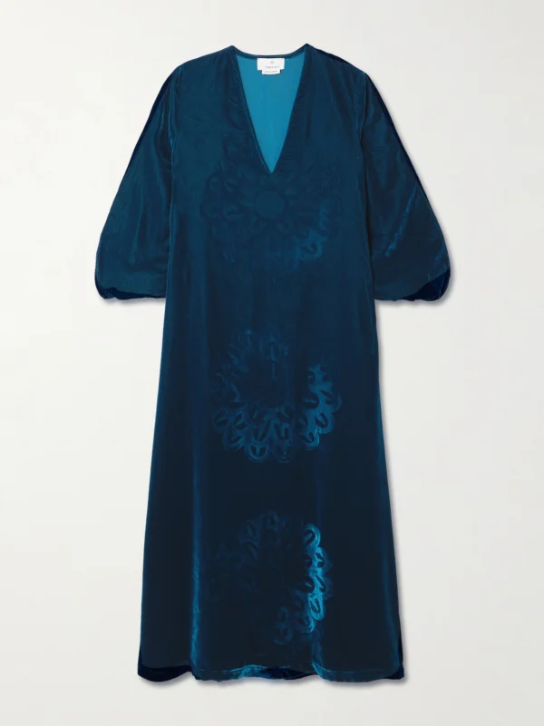 Themis Z Anthos Devoré Silk-blend Velvet Maxi Dress