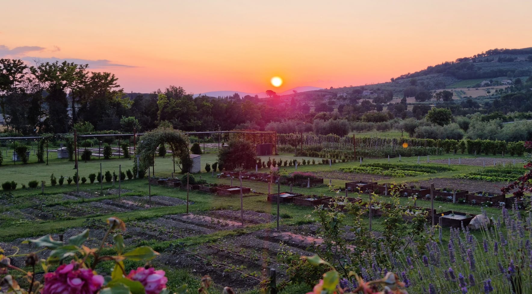 The Hortuli herb and vegetable beds at sunset, Borgo Antichi Orti Assisi