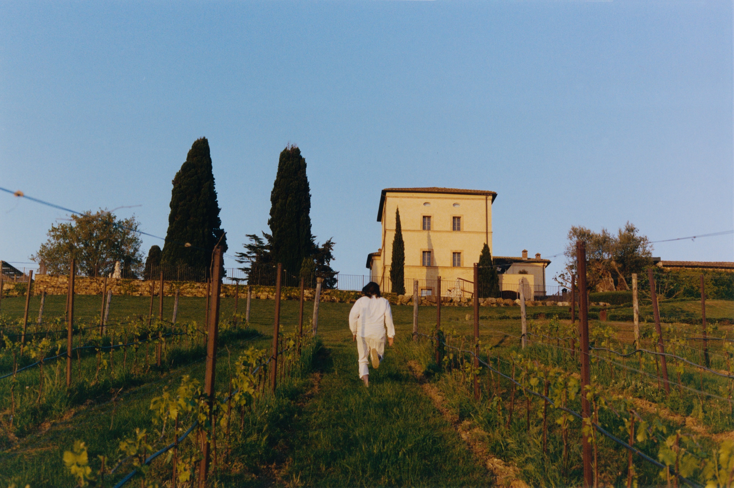 Guest walking through a vineyard toward a yellow villa and cypresses, Castello di Casole