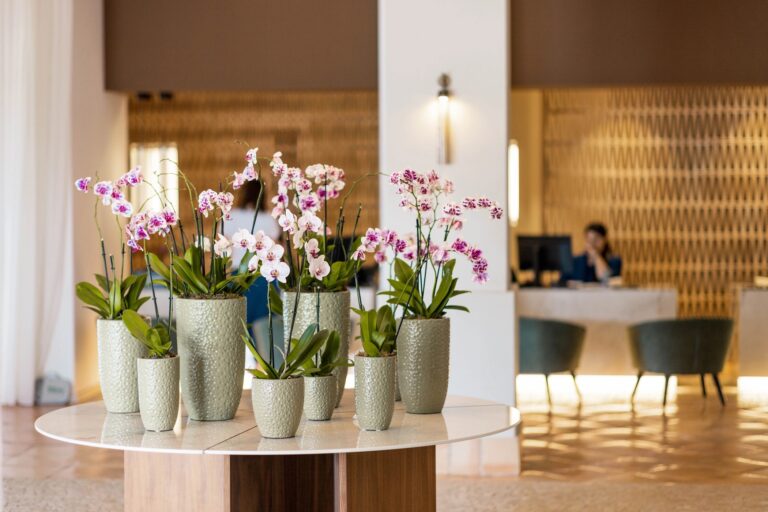Orchids on a round table in the lobby, with the reception desk behind, Conrad Chia Laguna Sardinia