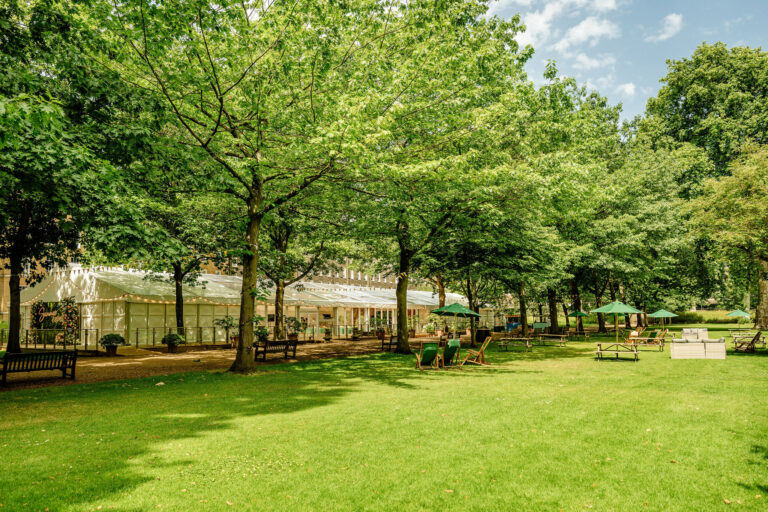Sunlit lawns under mature trees in The Walks, with the marquee in the distance, Gray's Inn