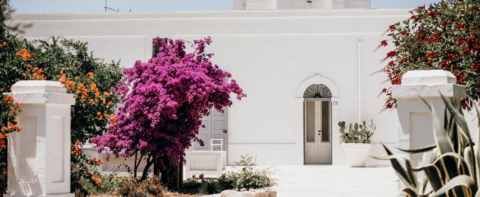 The whitewashed masseria with bougainvillea and citrus beside the entrance, Masseria Don Luigi