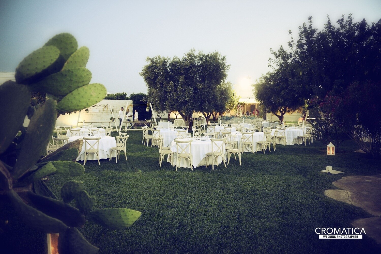 A wedding dinner laid out on the lawn under the olive trees at dusk, Masseria Don Luigi