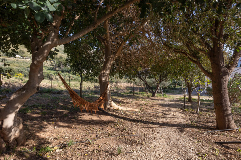A hammock strung between trees in the shaded garden, Pittalumari Makari
