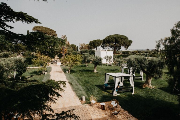 The stone avenue through the gardens, with day beds under the olive trees and a small white outbuilding, Tenuta Pinto