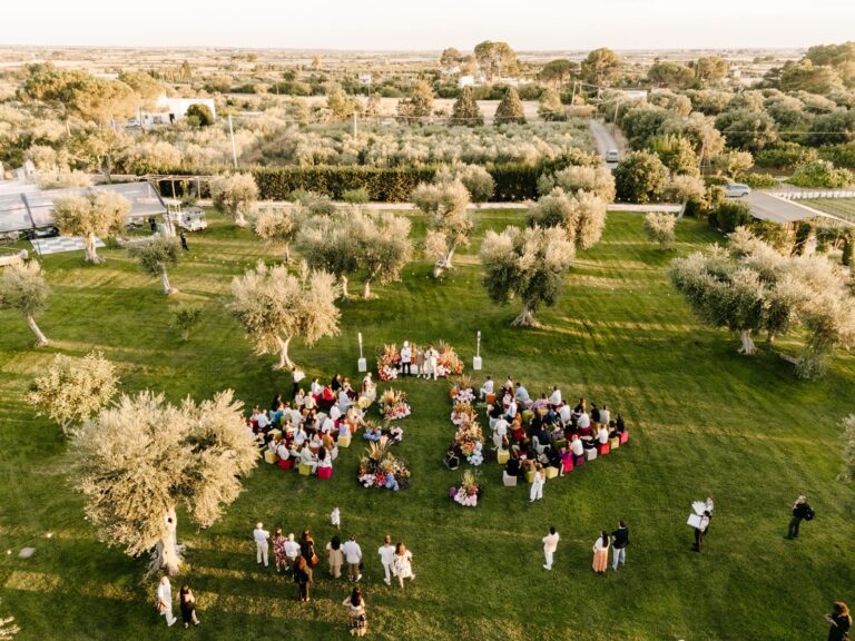 Aerial view of guests gathered on the lawn among the olive trees, Tenuta Pinto