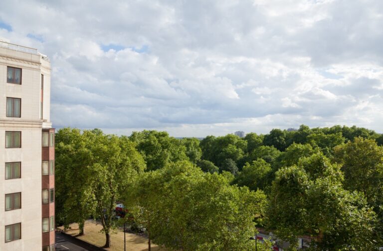 The treetops of Hyde Park seen from beside the hotel's upper floors, The Dorchester