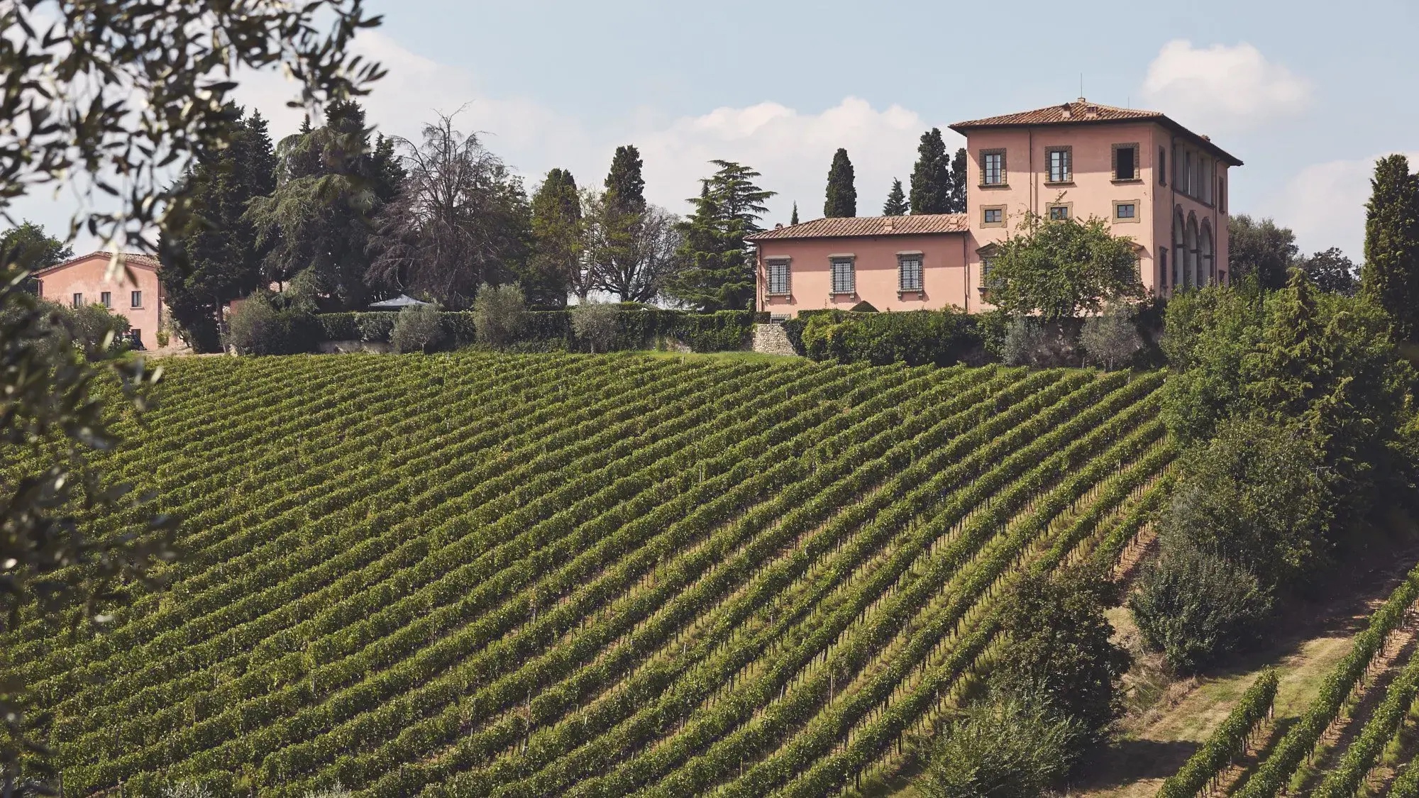Wine tasting in Chianti for wedding guests: how to plan it