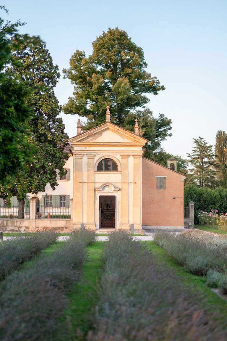 Rows of lavender leading to the church of San Michele Arcangelo, Villa Ormaneto