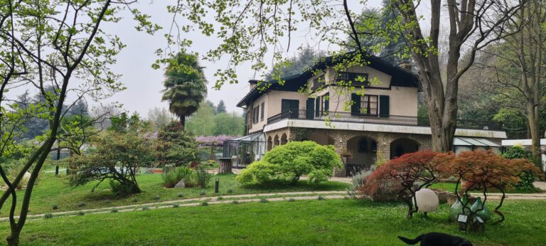 The villa seen across the park, with maples and conifers on the lawn, Villa Sofia