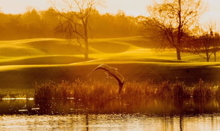 The golf course at sunset, Adare Manor